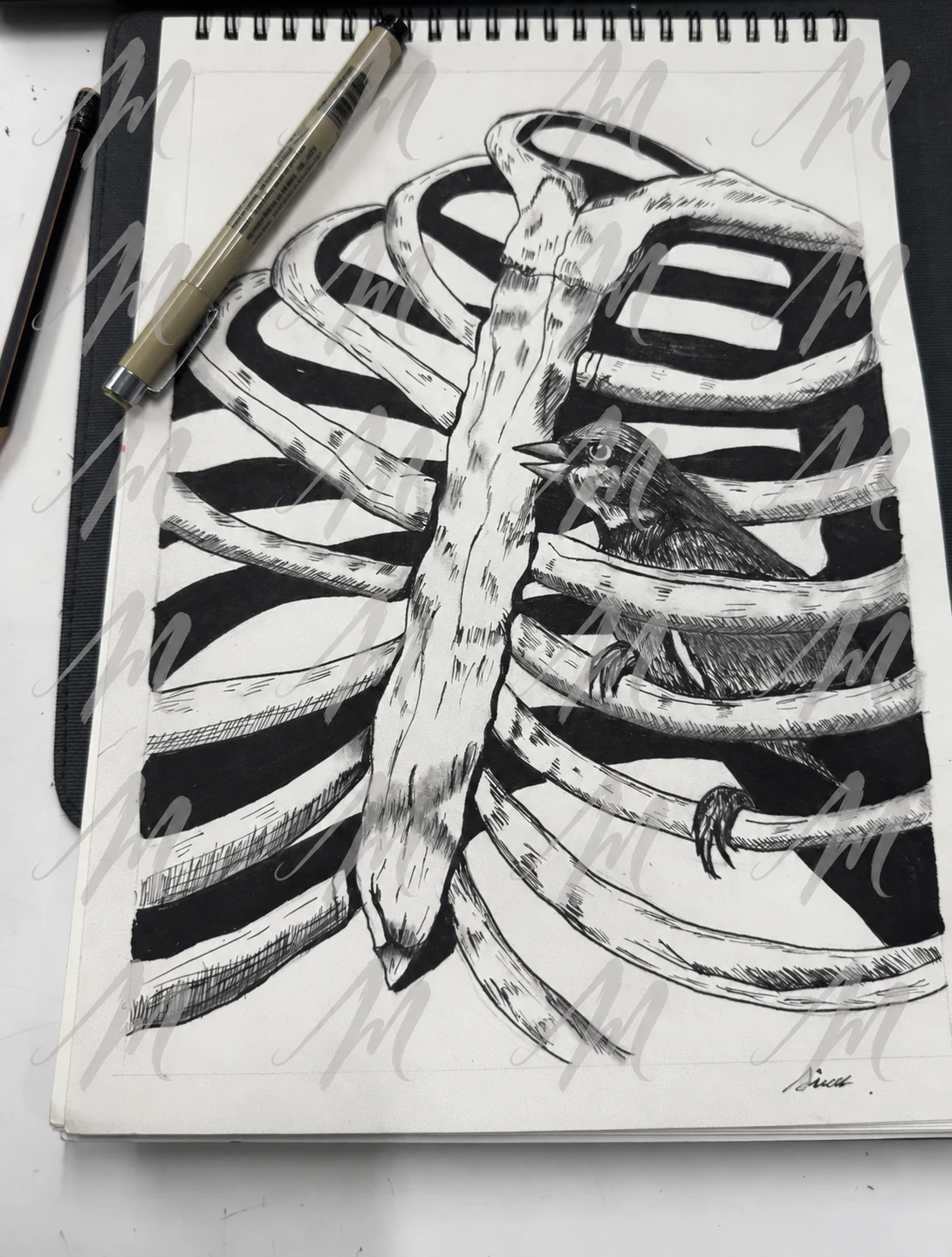 Small bird perched within a rib cage, drawn in black ink on a sketchbook page, with repeated translucent Misuae M watermarks